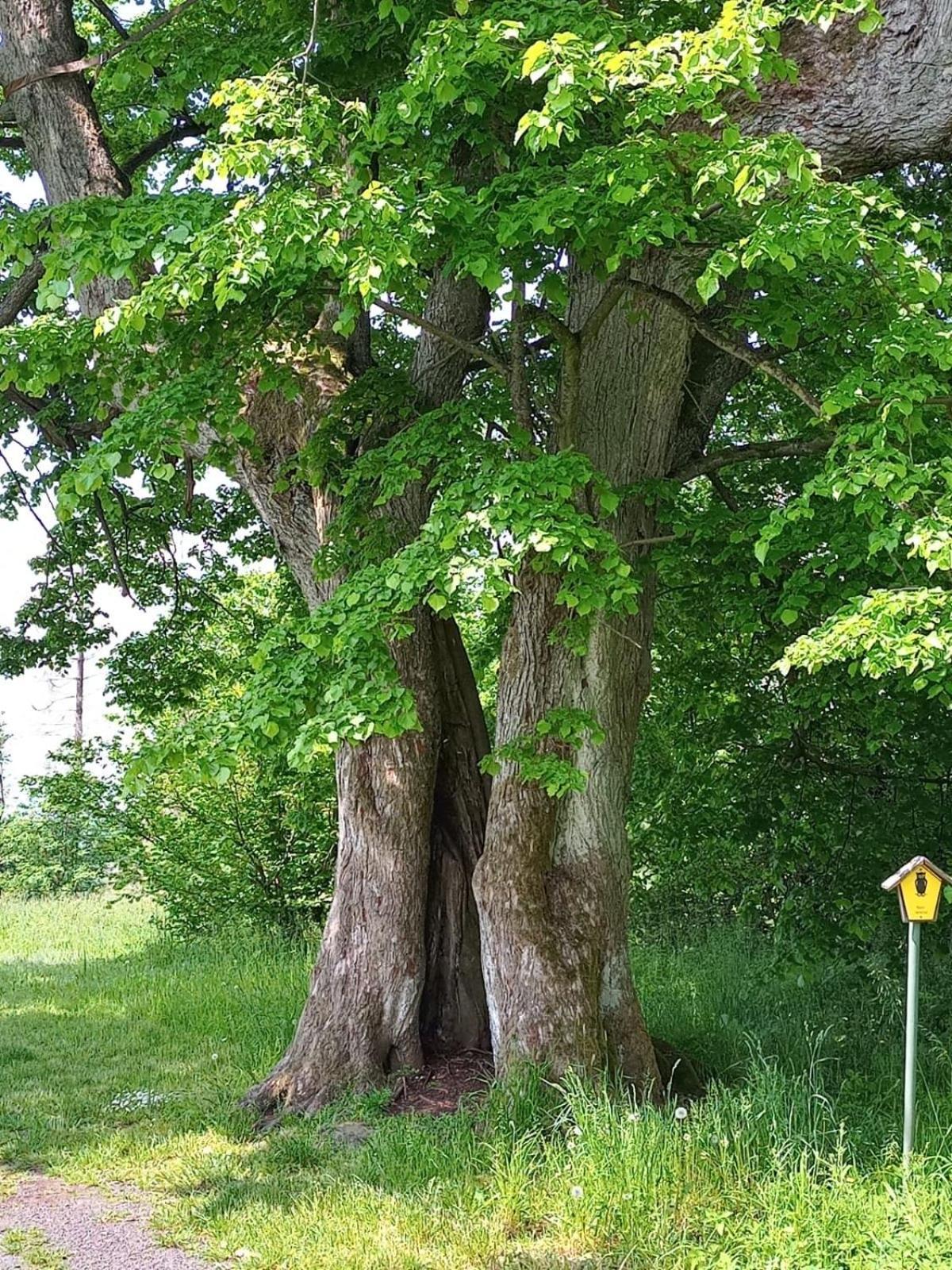 Ferienwohnung Am Hochrhoener Andenhausen Buitenkant foto