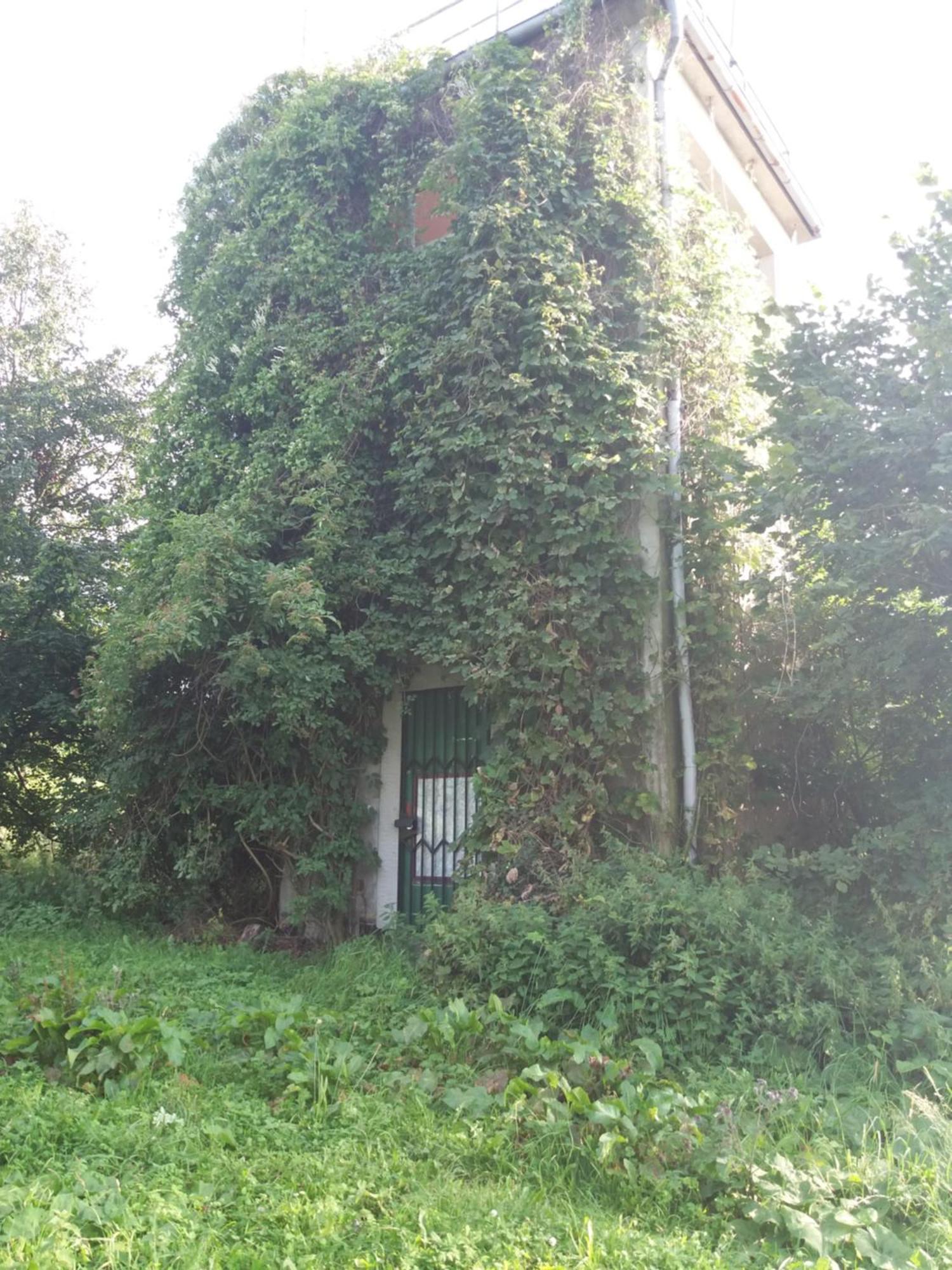 Ferienwohnung Am Hochrhoener Andenhausen Buitenkant foto